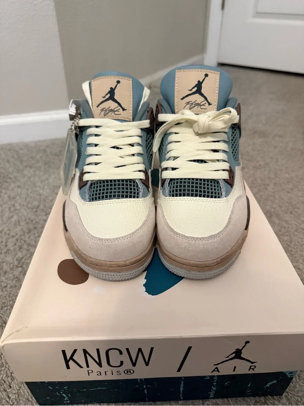 SNORLAX JORDAN 4